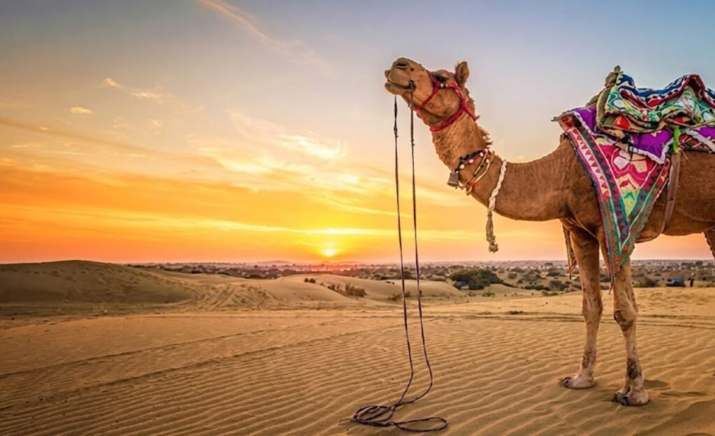 Luxury vs Budget Rajasthan Tour